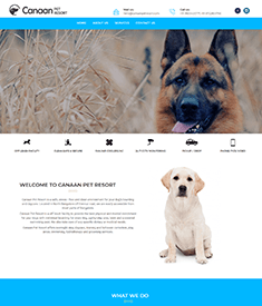Pet Shops Website Designing Services in Bangalore